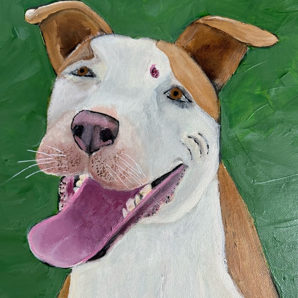 PET PORTRAIT HOST Pick 3/2/24 & 5/2/25 - Picture 11 of 12